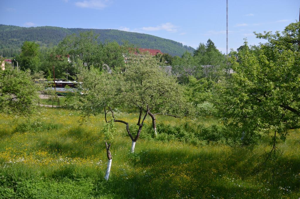 Apartmán Rosinka Jaremče Exteriér fotografie